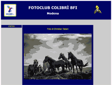 Tablet Screenshot of fotoclubcolibri.it